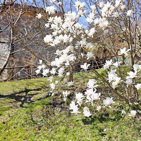 Casa Dei Tigli Villa Ormea Kültér fotó