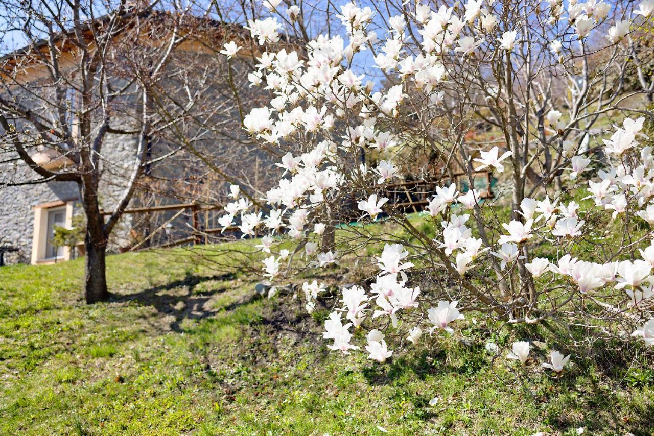 Casa Dei Tigli Villa Ormea Kültér fotó