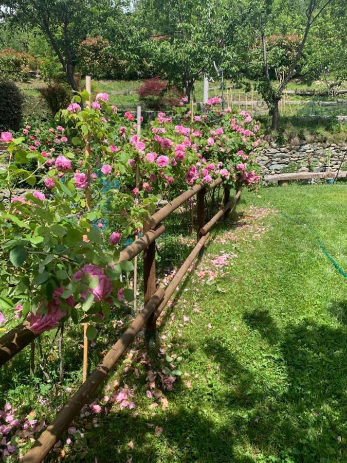 Casa Dei Tigli Villa Ormea Kültér fotó